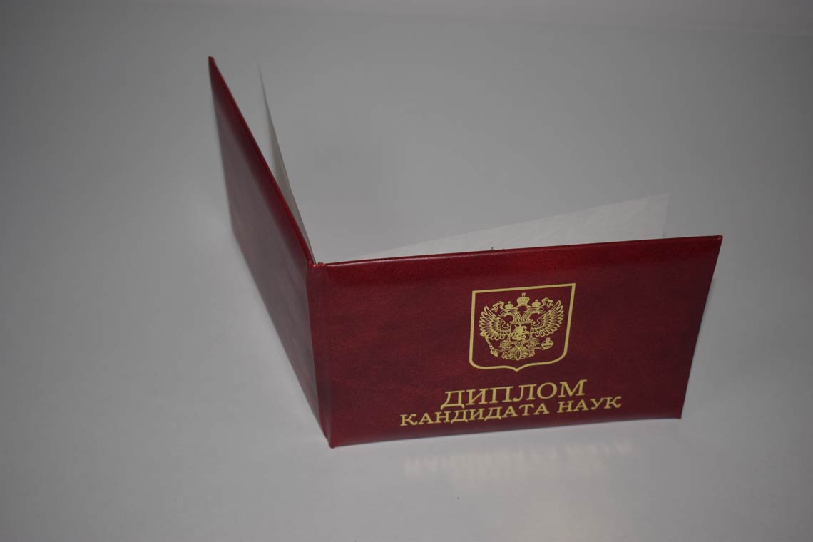 Диплом Кандидата Наук 2001-2012 в Благовещенске корка